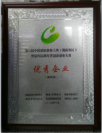 南冠安全榮獲第六屆中國創新創業大賽（湖南賽區）成長組“優秀企業獎”